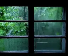 Calming Spring Rain & Thunder In Window |Thunder & Rain Ambience