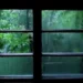 Calming Spring Rain & Thunder In Window |Thunder & Rain Ambience